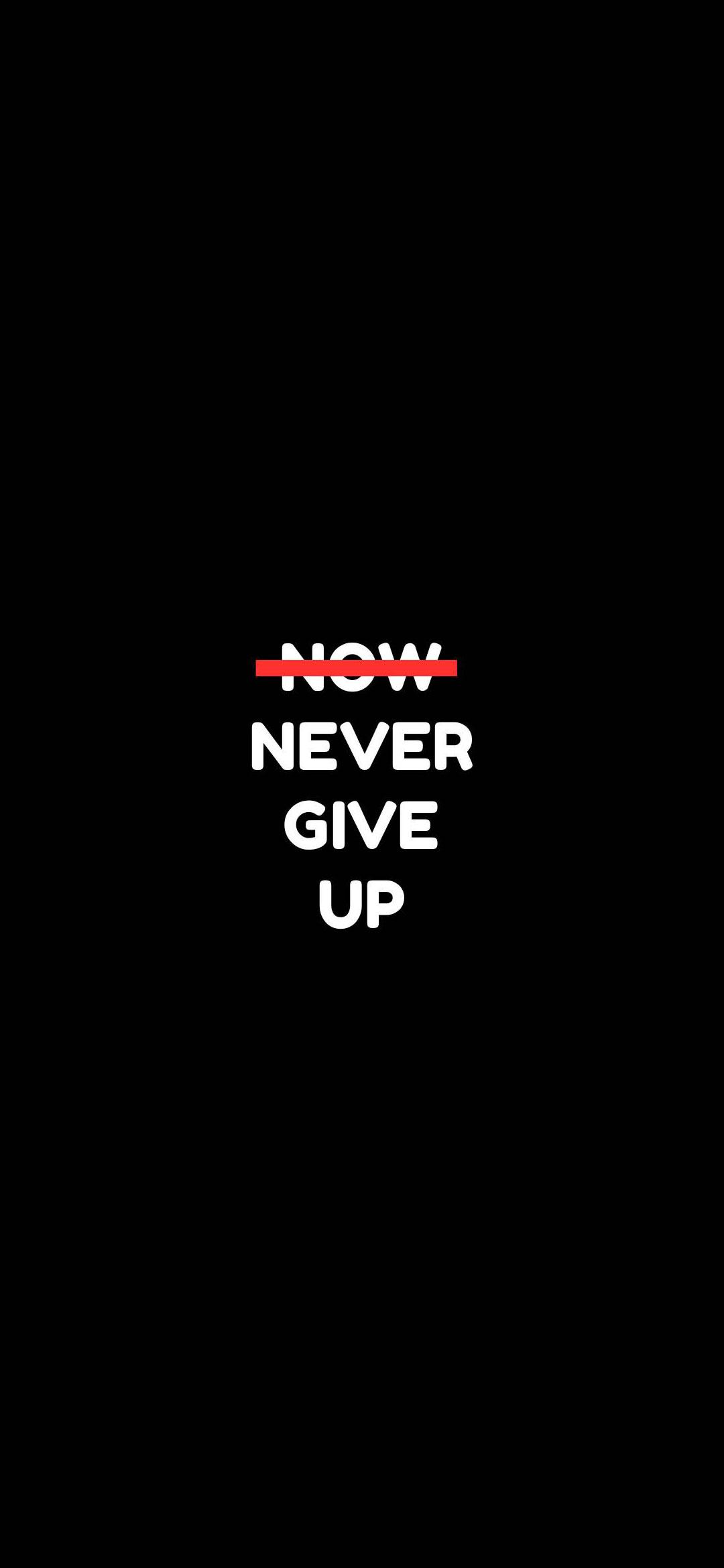 Never Give Up Motivational Quote