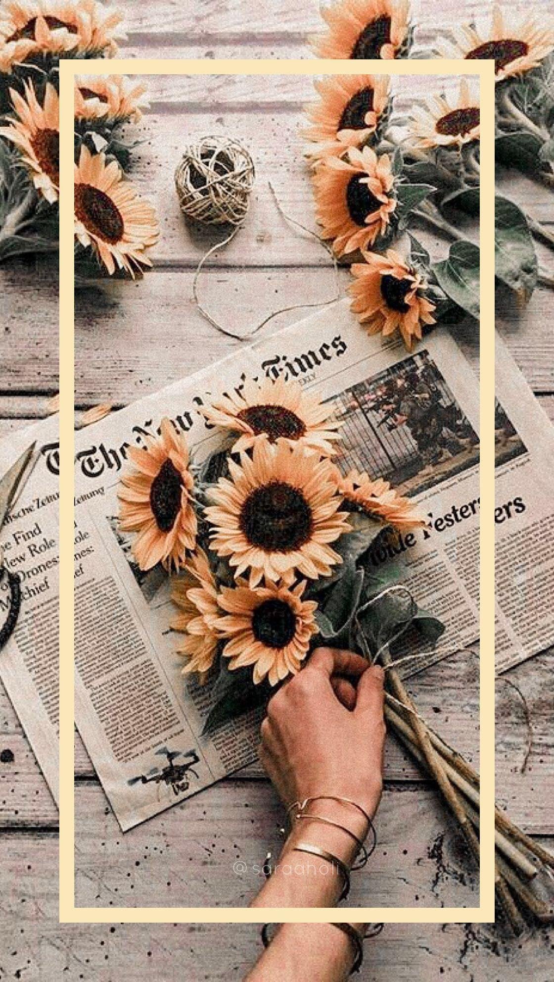 Beautiful Sunflower Aesthetic Wallpaper Download  MobCup