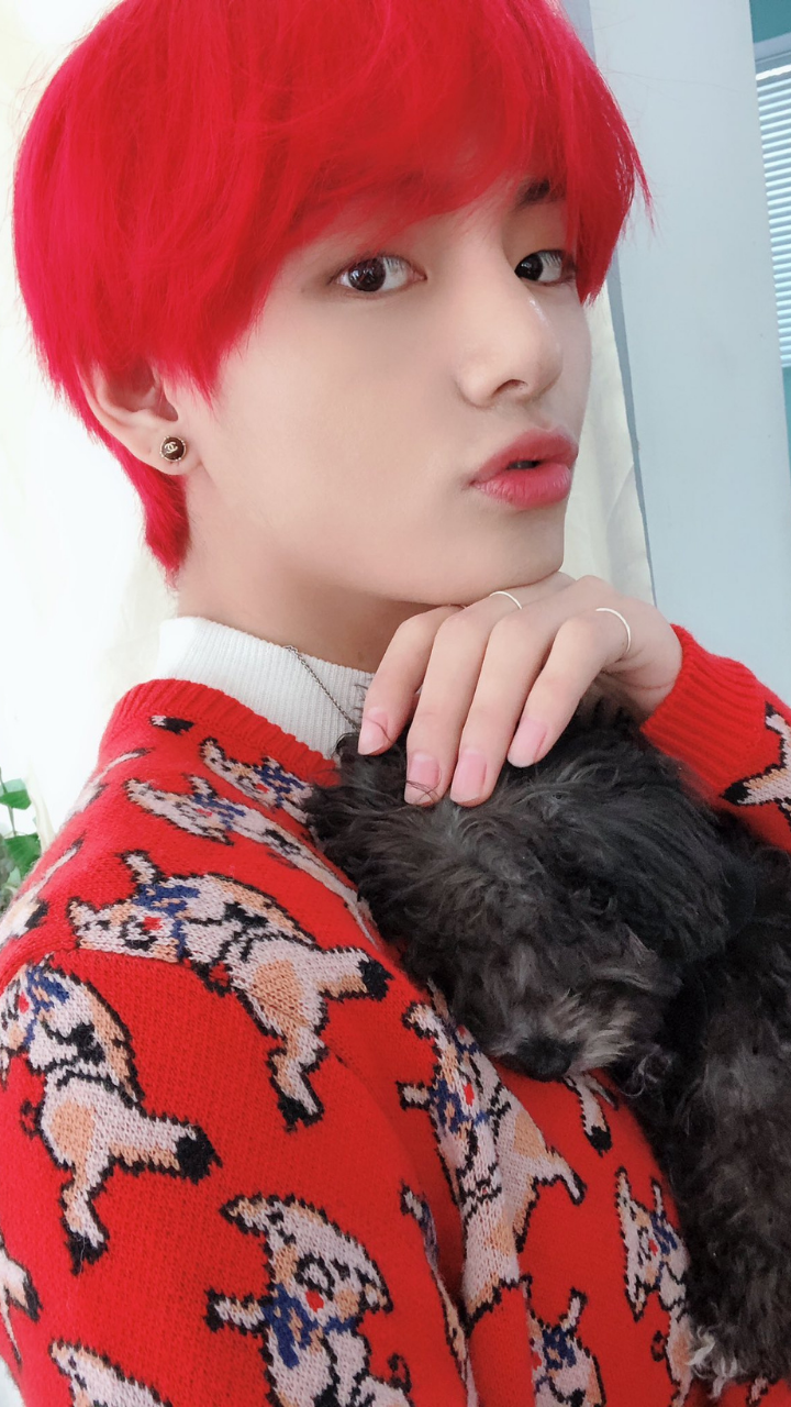 The Red Fox 12  Red hair jungkook  Jungkook Red hair pictures Jungkook  cute