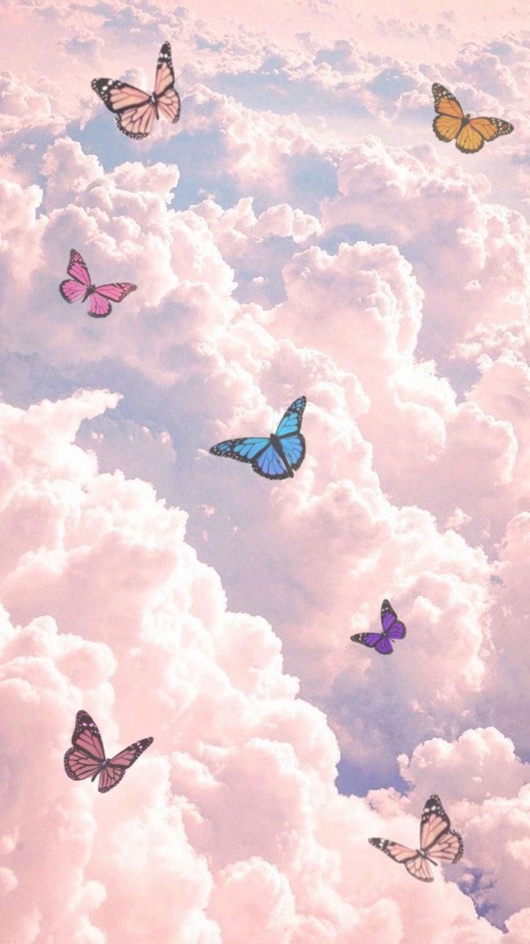 Free download 9013 pink butterflies wallpaper 1500x1259 for your Desktop  Mobile  Tablet  Explore 28 Pink Butterfly Wallpapers  Pink Butterfly  Backgrounds Butterfly Wallpaper Pink and Black Butterfly Wallpaper