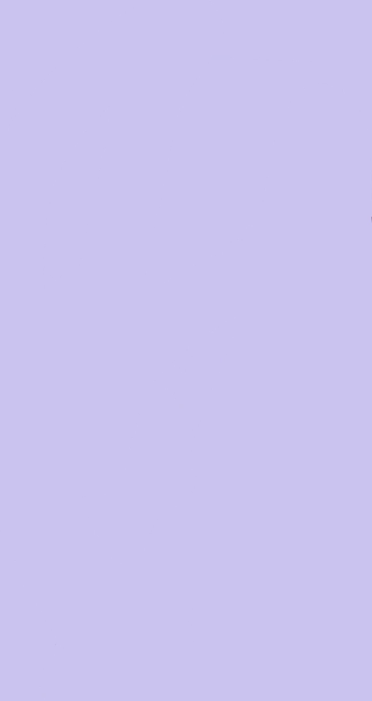 Lavender colour or a shade of pastel purple coloured solid spring colors  HD phone wallpaper  Pxfuel