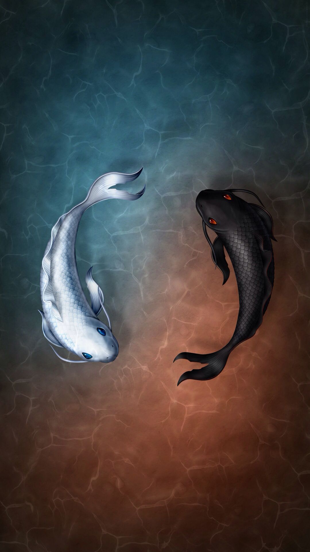 Aesthetic Ying Yang Fish