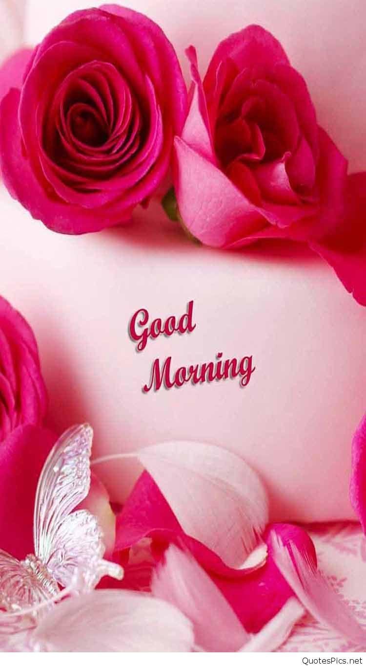 Good Morning - Pink Roses Wallpaper Download | MobCup