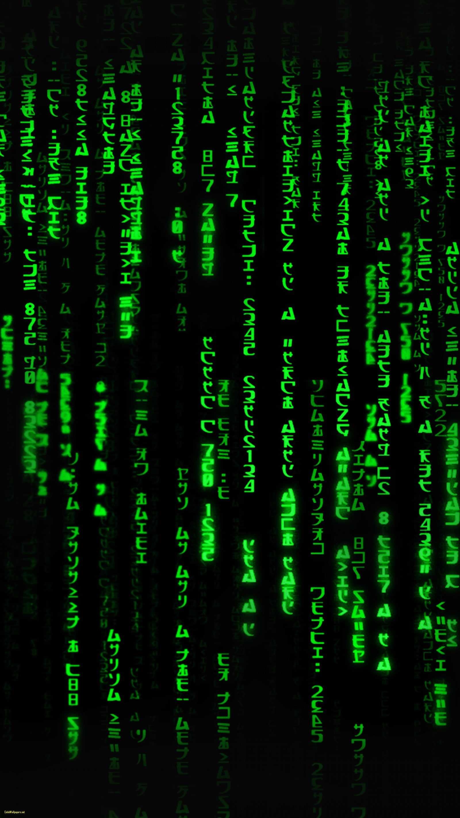 the matrix code wallpaper