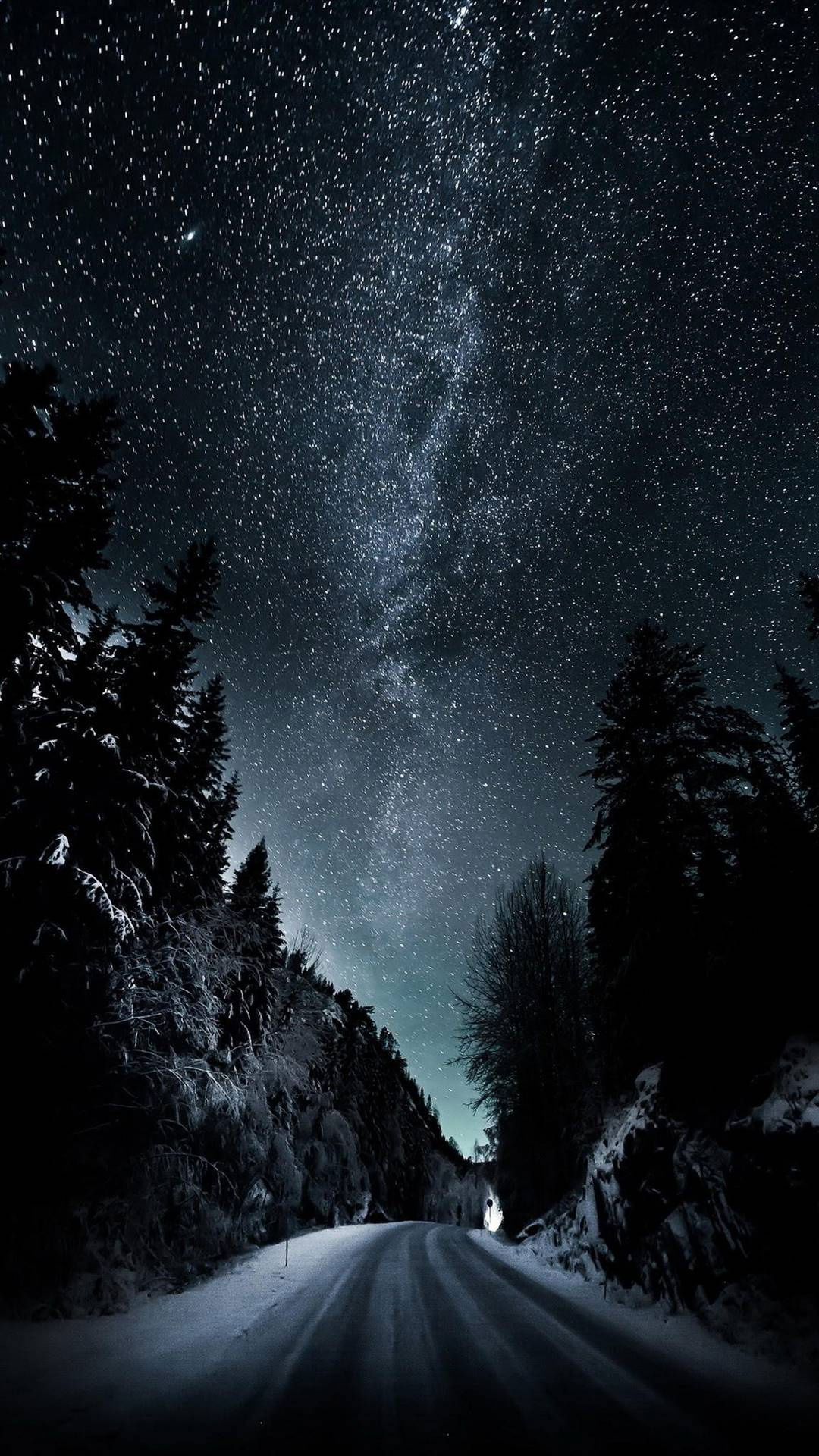 Forest Milky Way Road