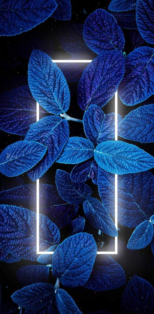 Neon Blue Weed Leaf Wallpaper | A Neon Blue Weed Leaf Wallpa… | Flickr