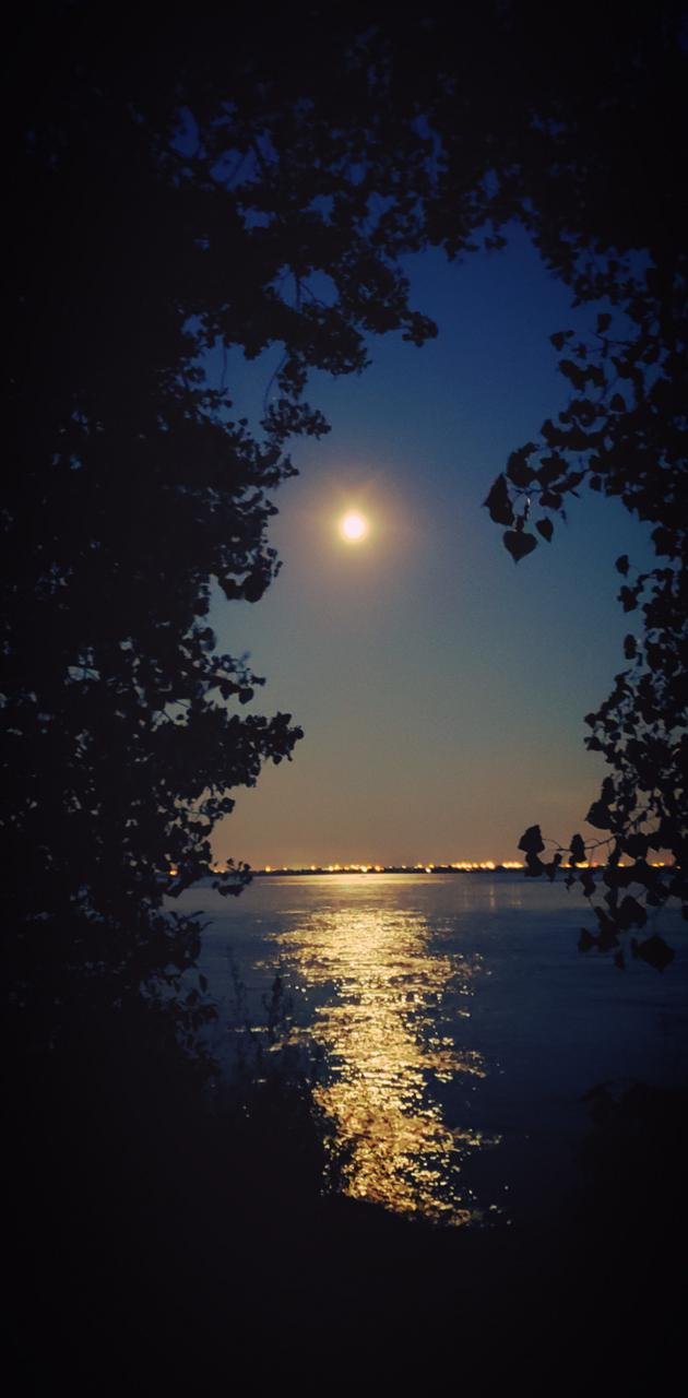 romantic moonlight