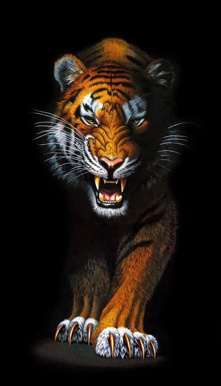 Scary Tiger Picture Background Images, HD Pictures and Wallpaper For Free  Download