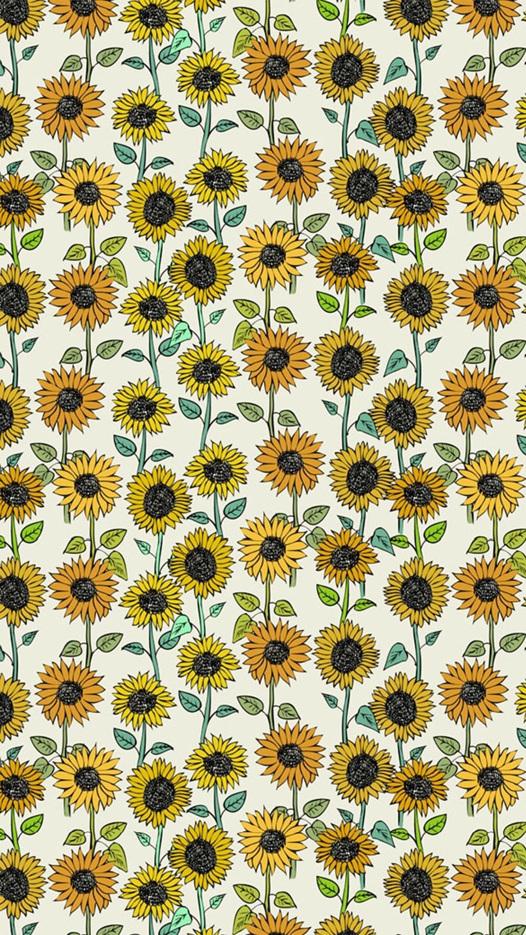 Lockscreen  Sunflower  Sunflower wallpaper Sunflower iphone wallpaper  Sunflower photography
