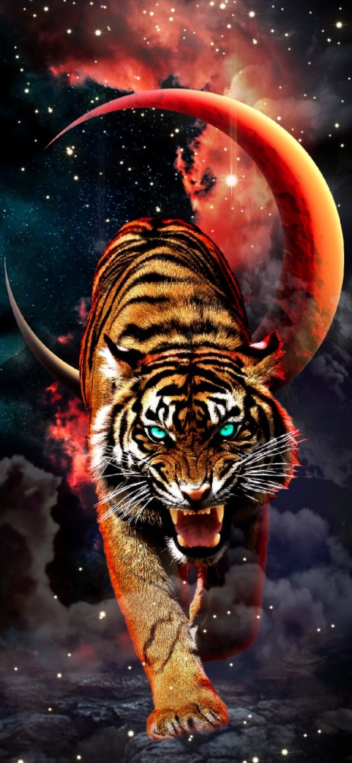 space tiger