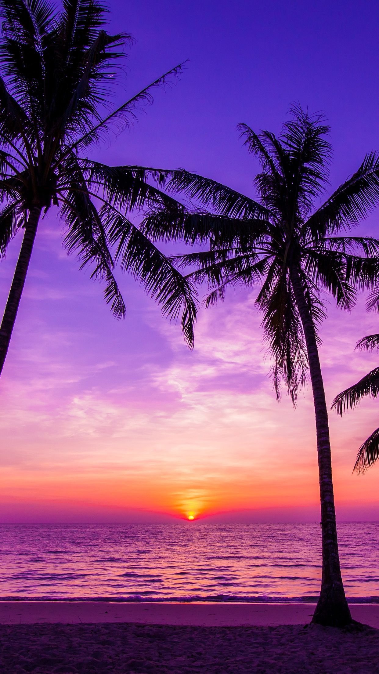 sunset palm trees hd wallpaper  sunset palm trees hd wallpa  Flickr
