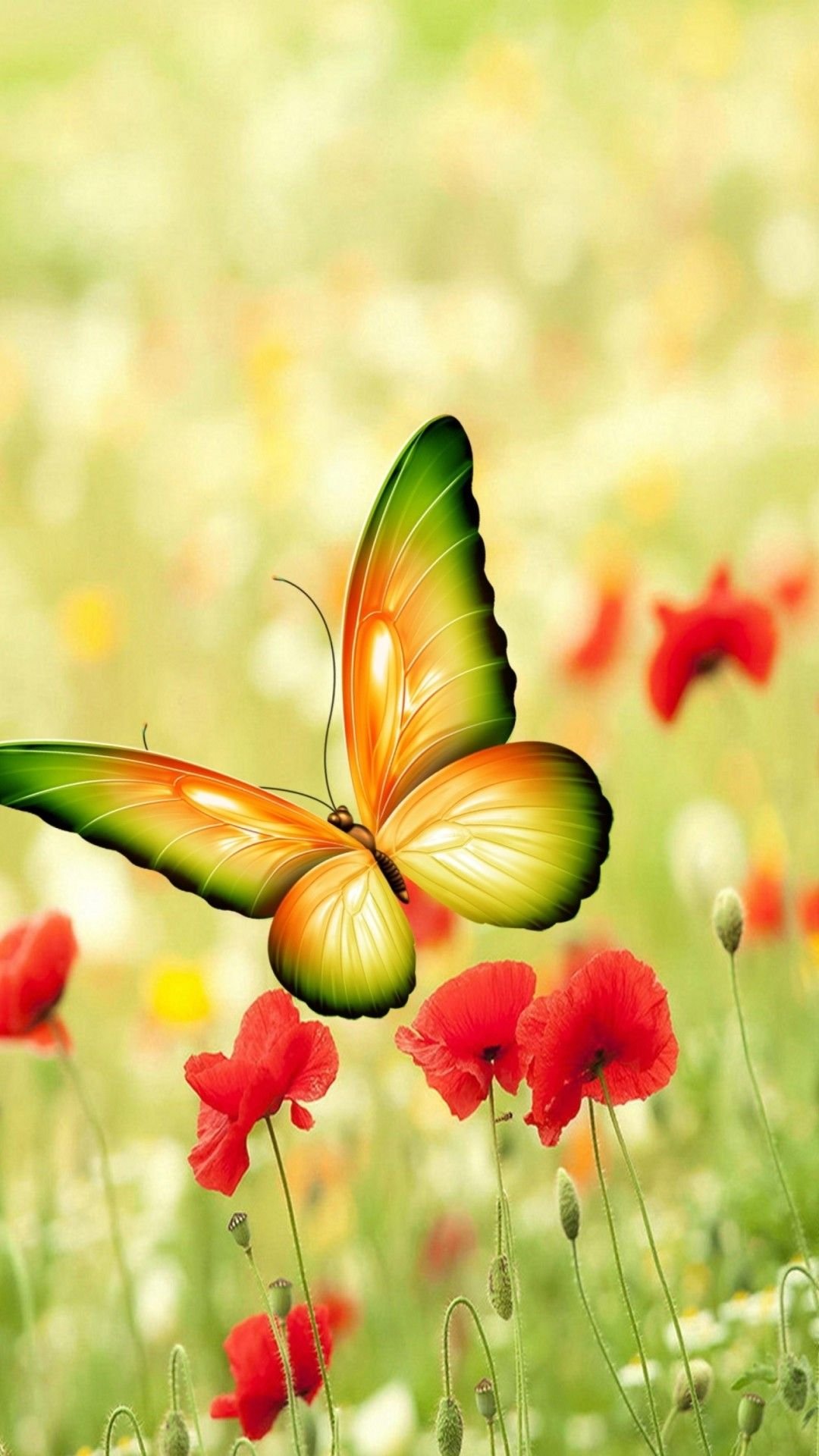 Pretty Butterfly on Pink Flower Wallpaper  iPhone Android  Desktop  Backgrounds