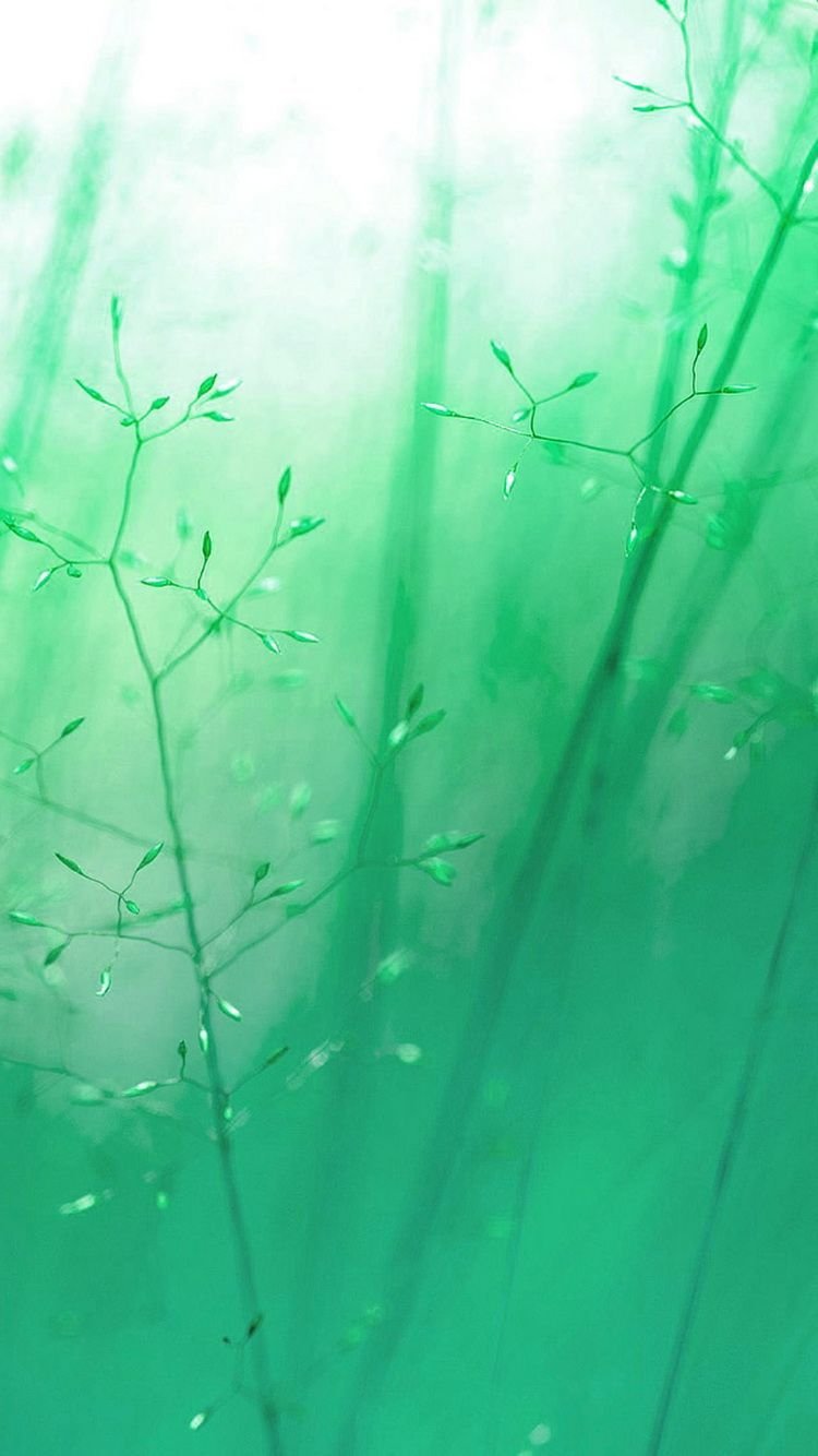 Download Light Green Aesthetic Thunderbolts Wallpaper  Wallpaperscom