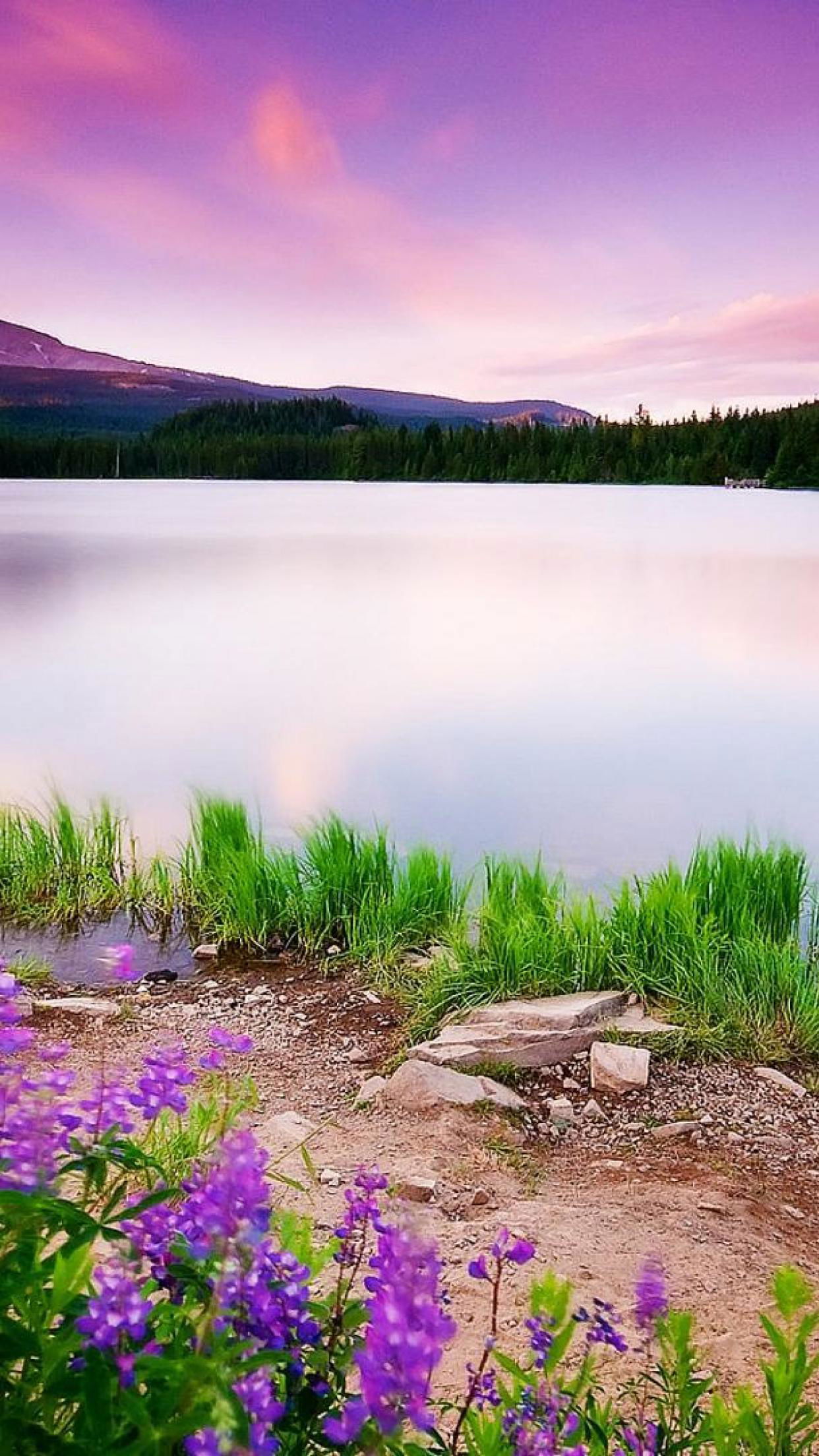 Calm Lake And Mountain Wallpaper Download | MobCup