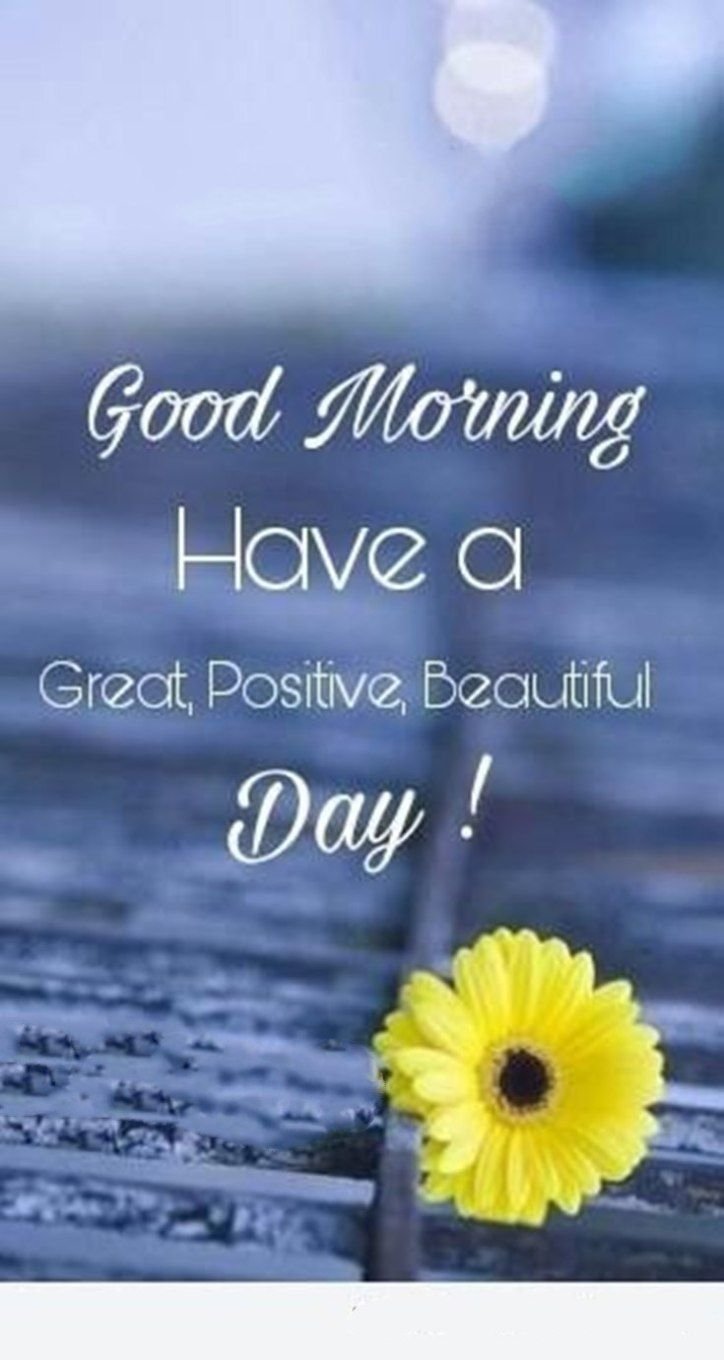 Beautiful good morning love quotes Wallpapers Download | MobCup