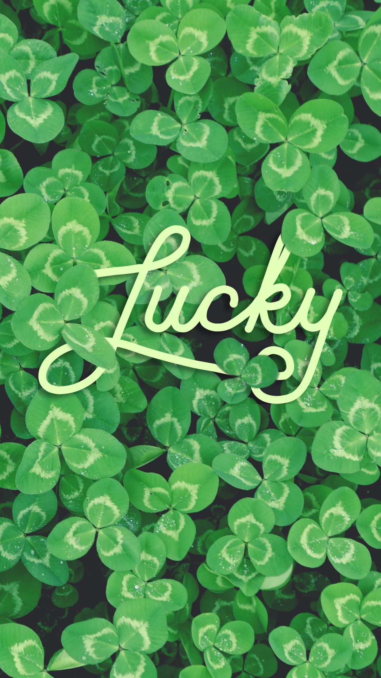 Lucky Wallpapers Download MobCup