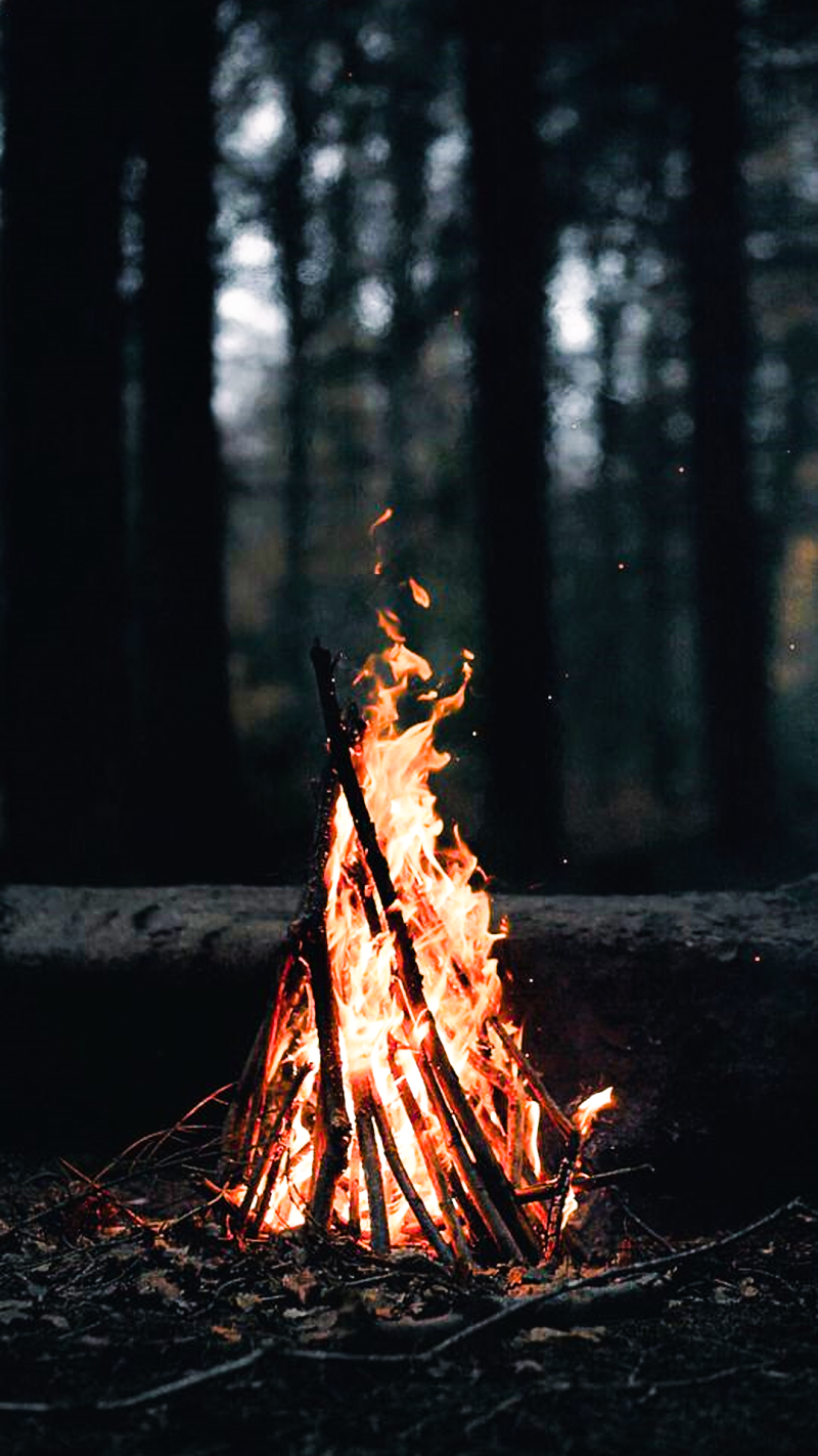 Bonfire - Forest fire flame Wallpaper Download | MobCup