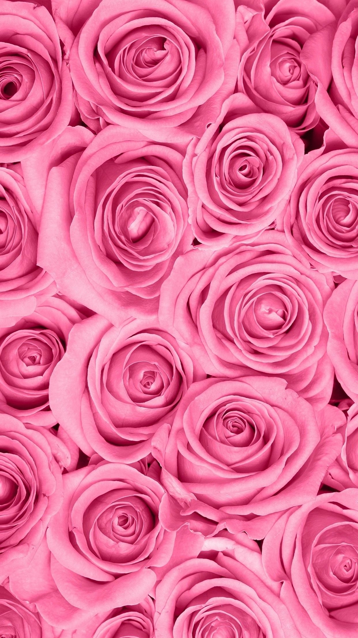 pink flowers wallpaper