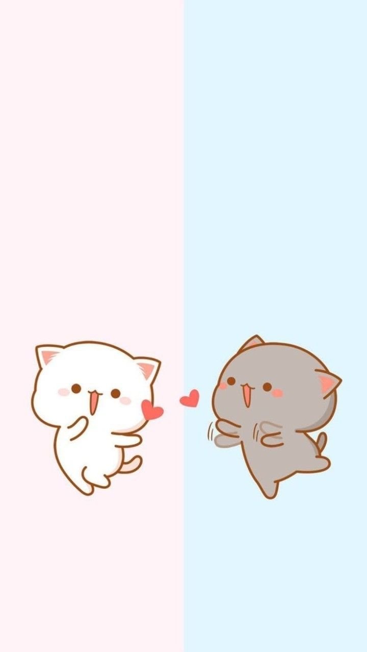 Goma and mochi cat Wallpapers Download | MobCup