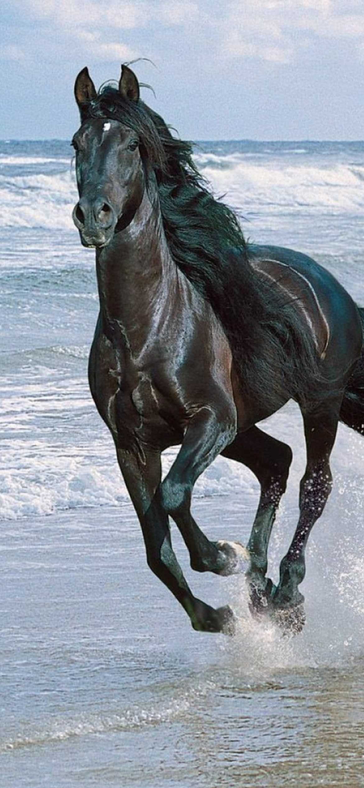 Wallpaper Black Horse, Artwork, Running - Resolution:1958x1080 - Wallpx