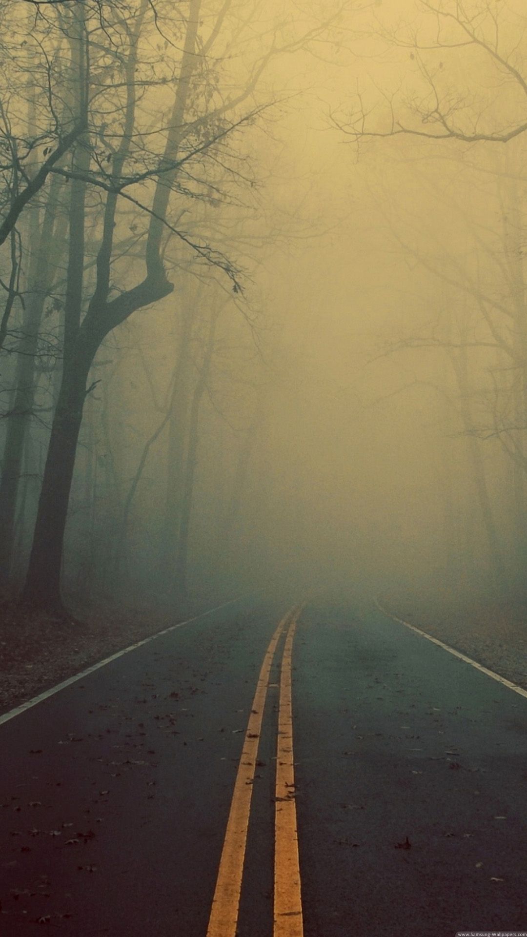 Foggy Road