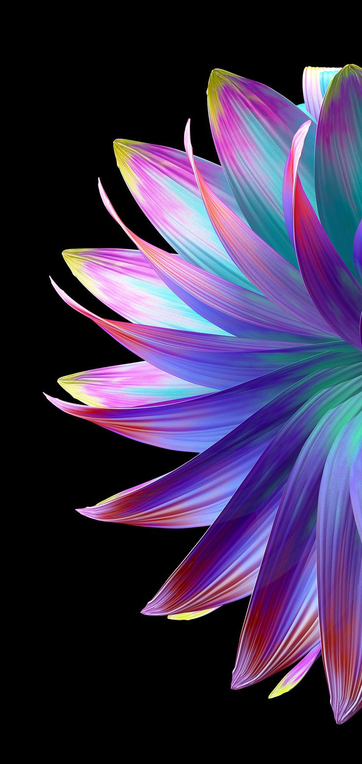 Samsung Galaxy Flower Wallpapers