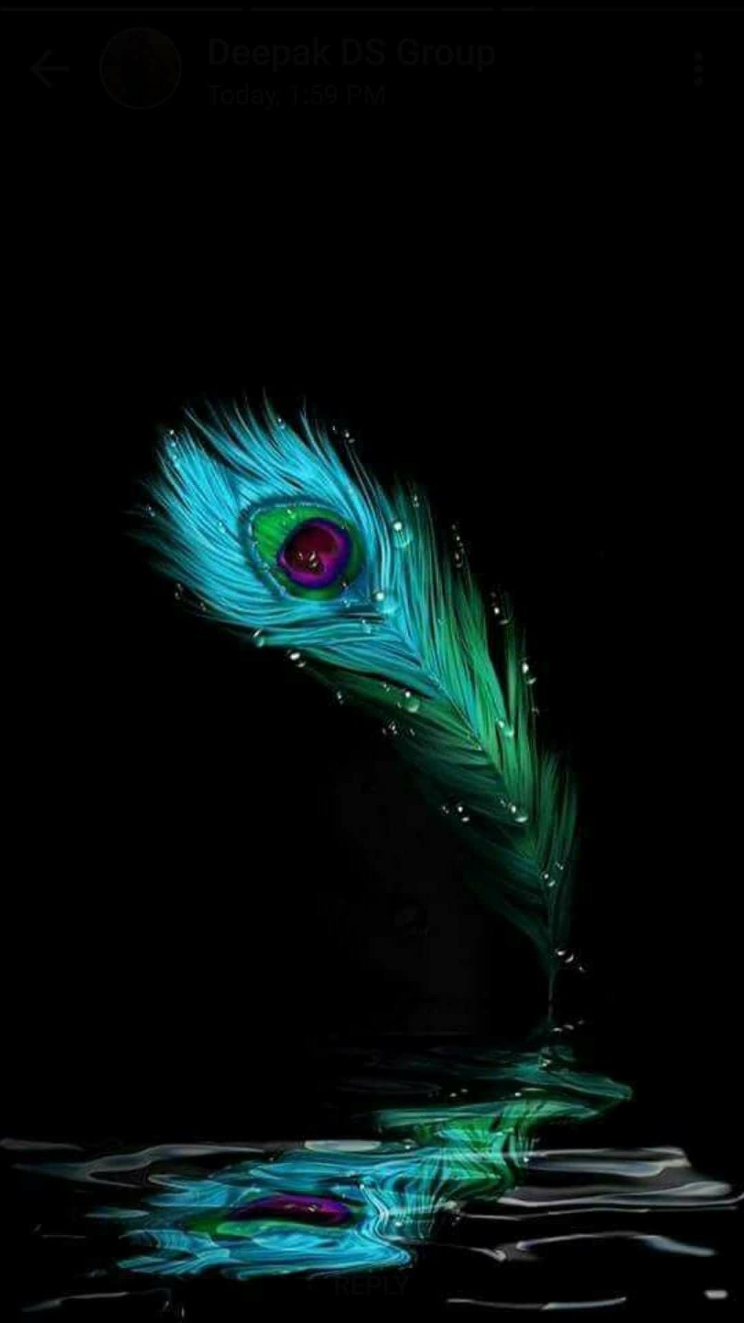 Krishna Feather - art