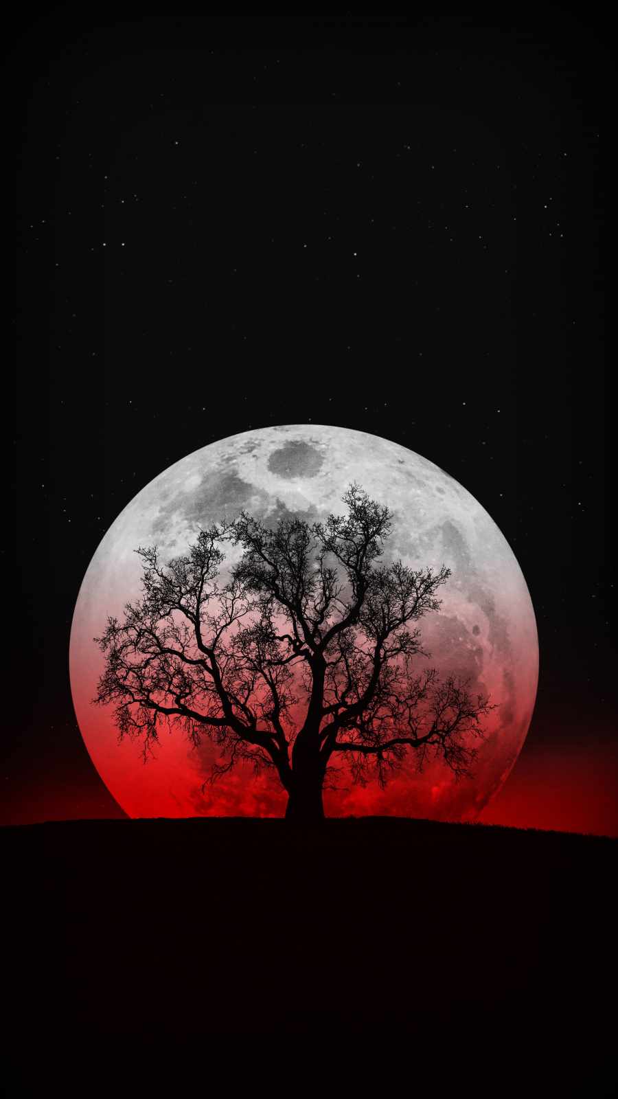 Moon tree aesthetic silhouette Wallpaper Download | MobCup