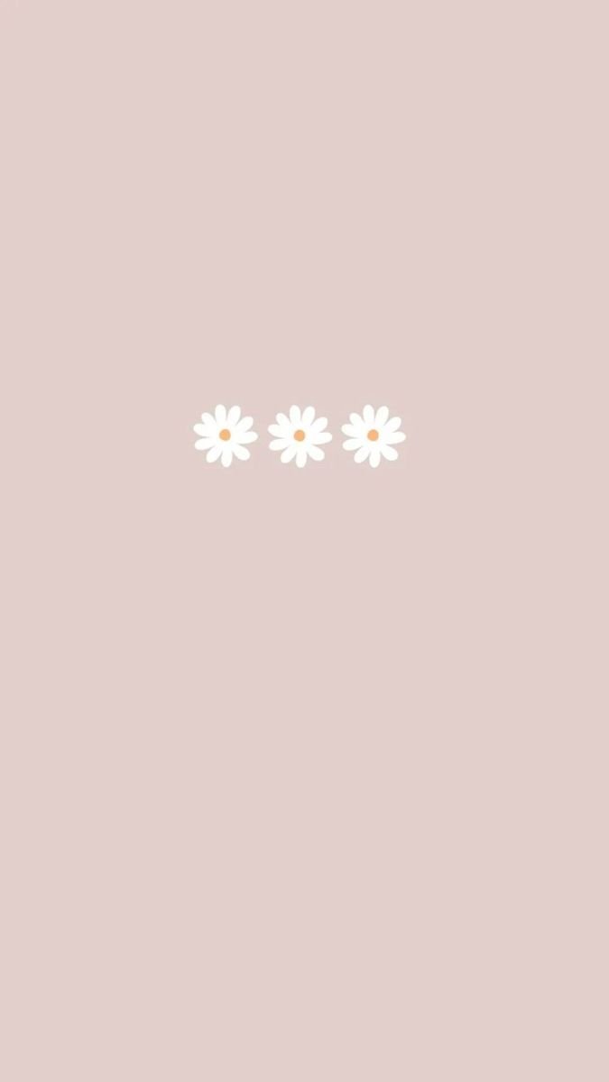 Aesthetic floral white Wallpaper Download | MobCup