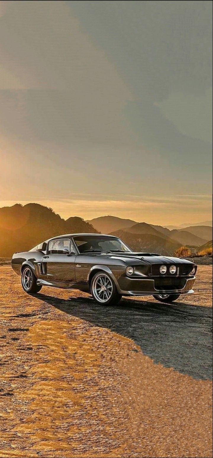 Shelby Mustang Car