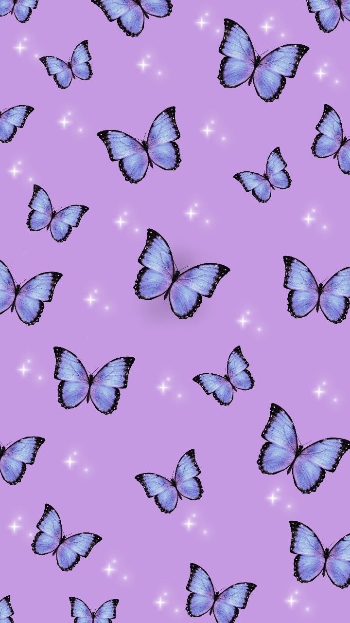 Purple Lilac Butterfly Wallpaper Download | MobCup