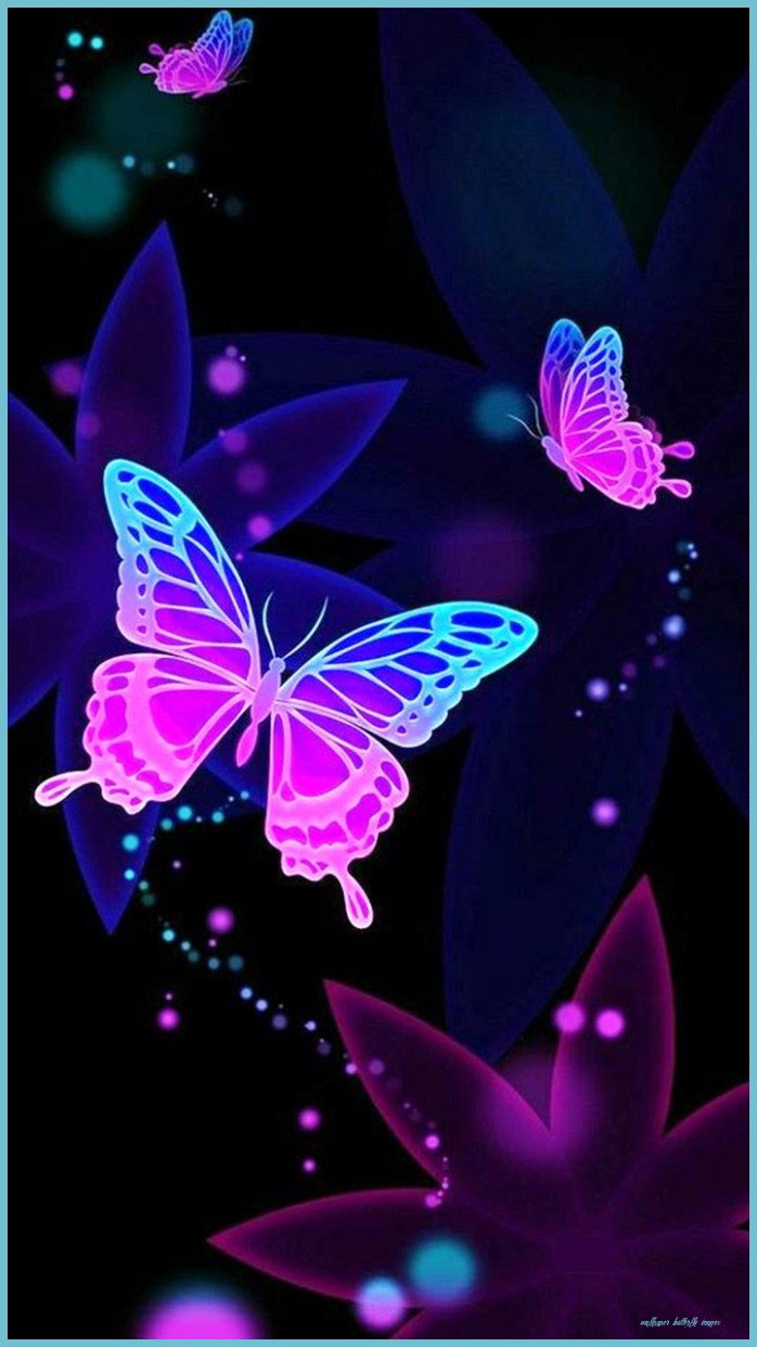 Purple Butterfly Wallpaper  NawPic