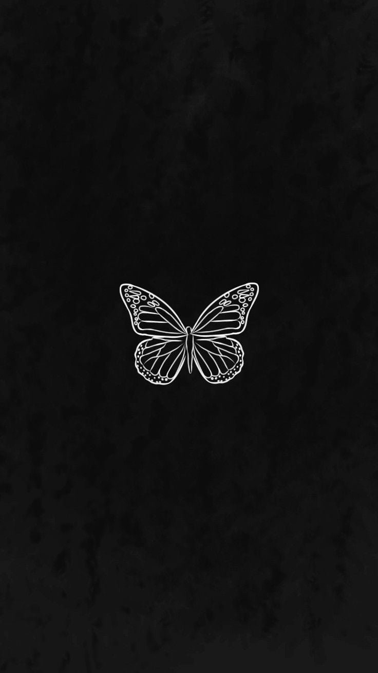 HD black and white butterfly wallpapers  Peakpx