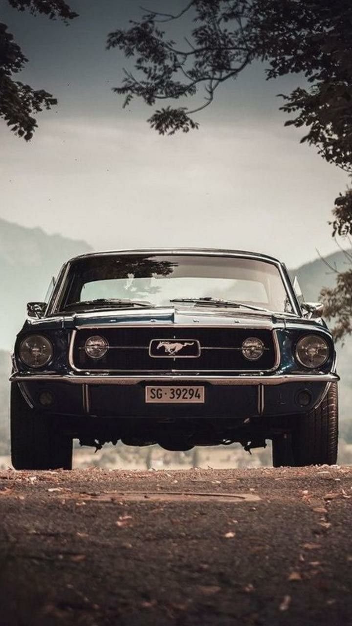 Ford Mustang Wallpaper for iPhone 11 Pro Max X 8 7 6  Free Download  on 3Wallpapers