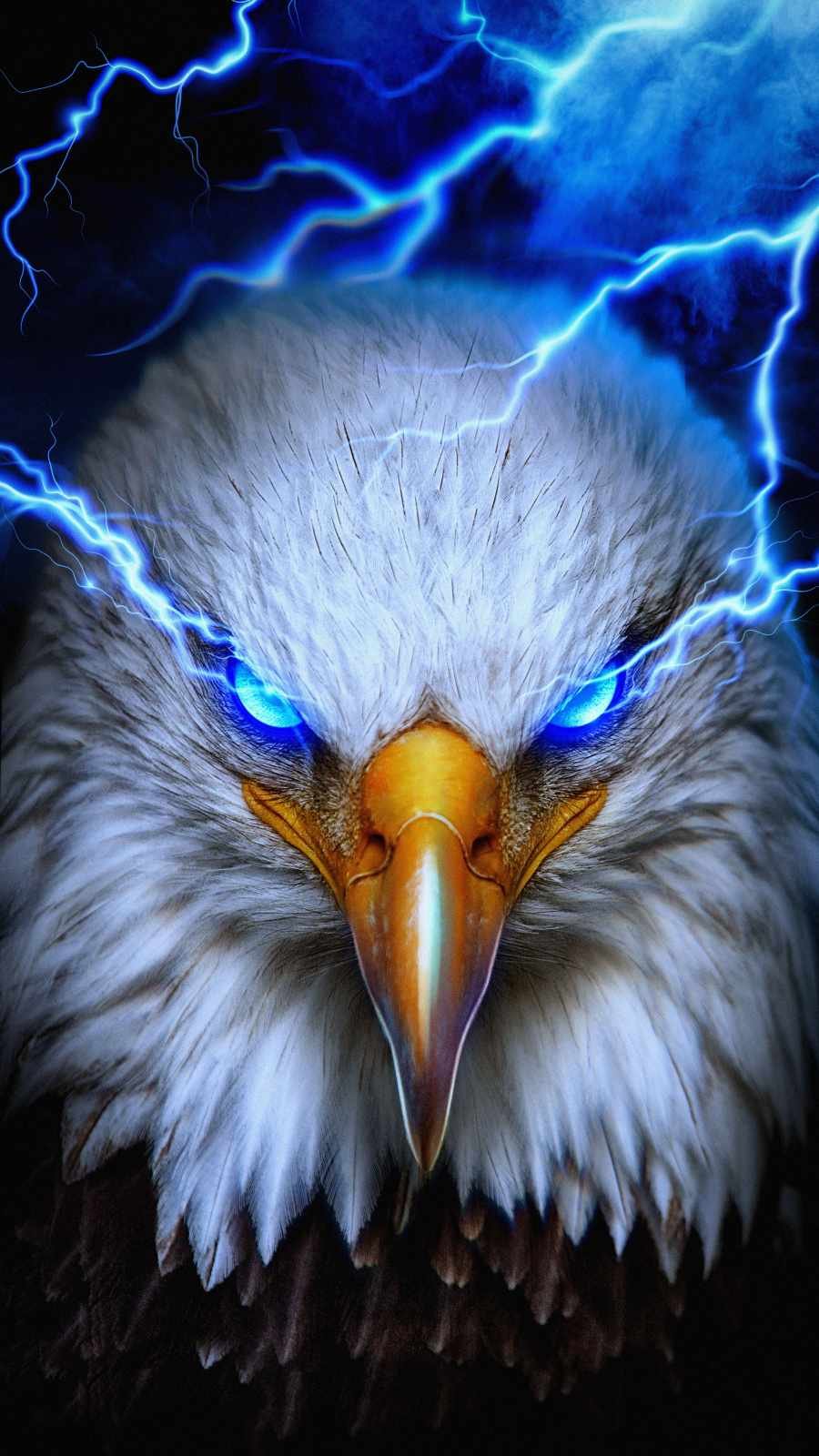 590+ Eagle HD Wallpapers and Backgrounds