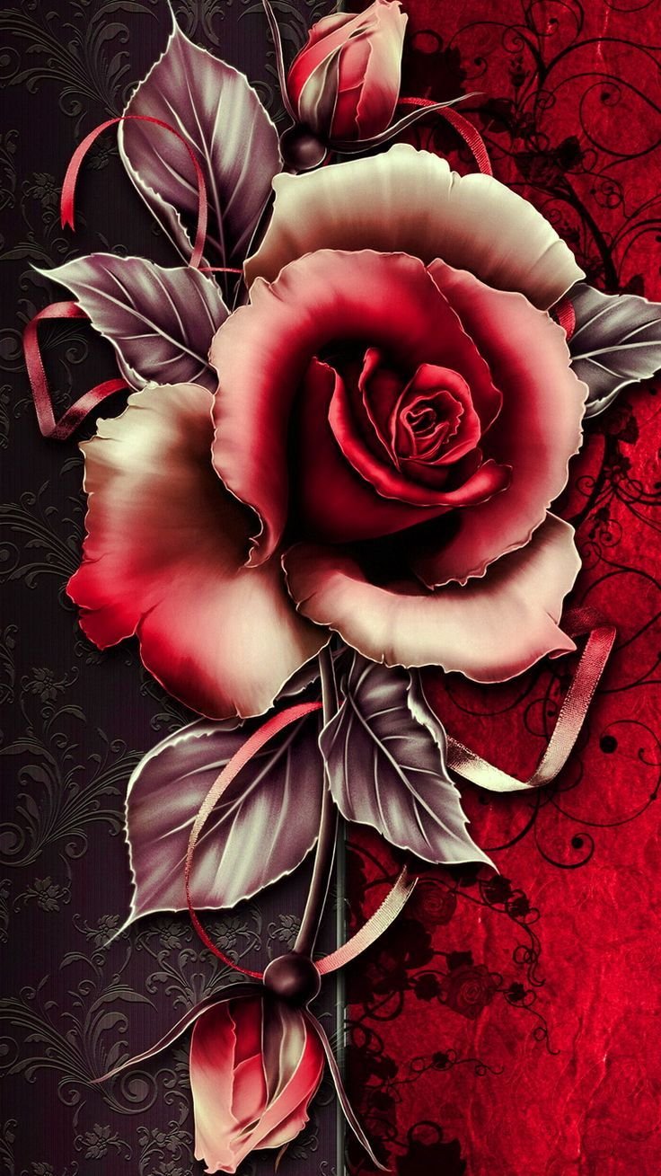 Blood red rose Wallpapers Download | MobCup