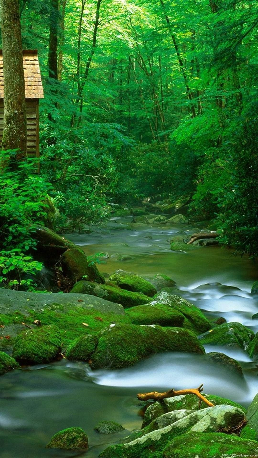 hd green nature wallpapers 1080p