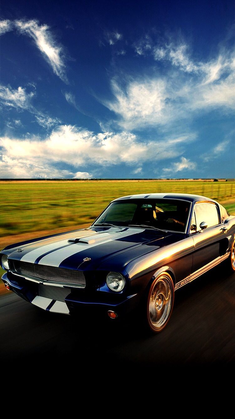 Shelby Mustang Car