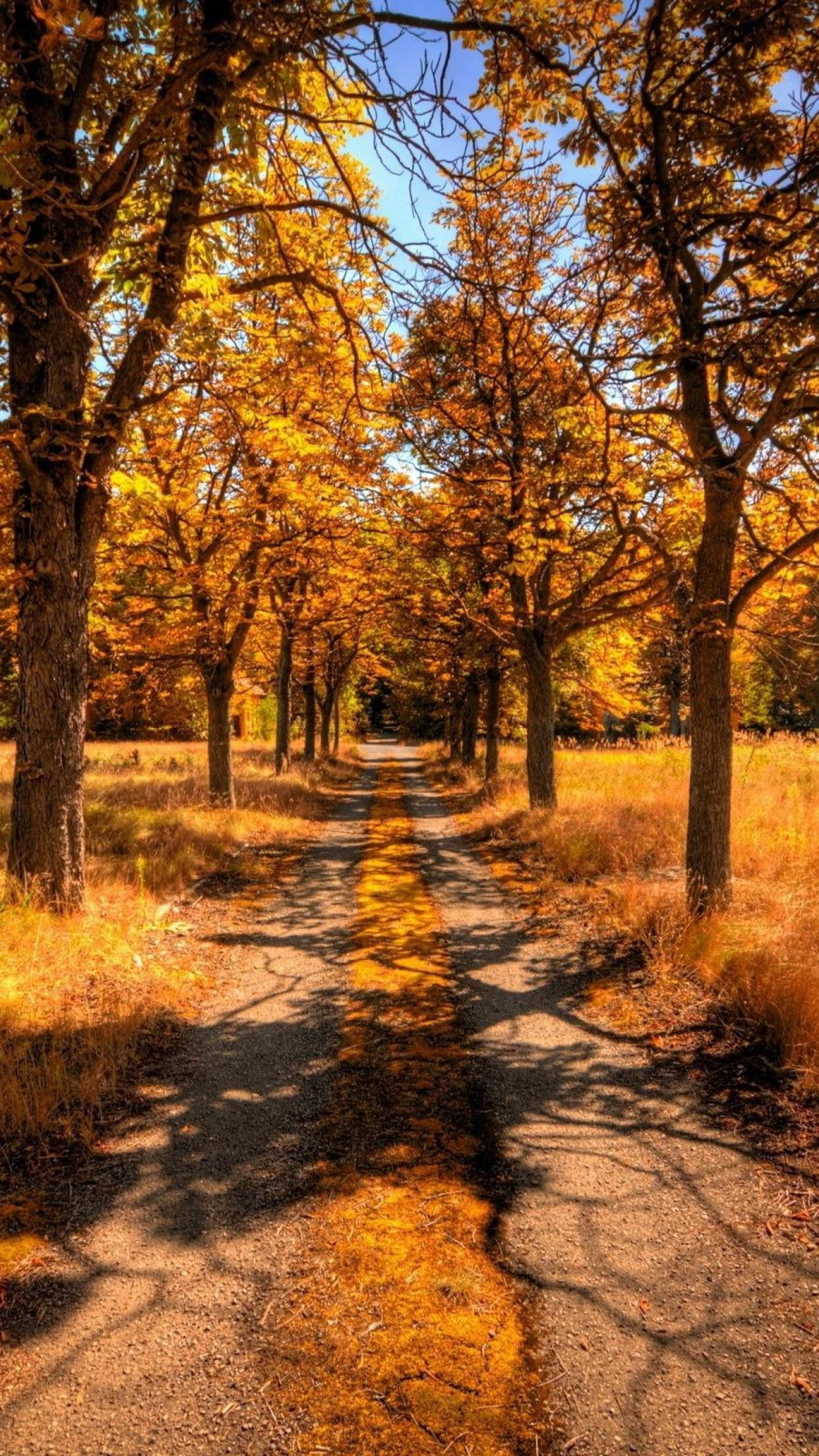 Nature in autumn