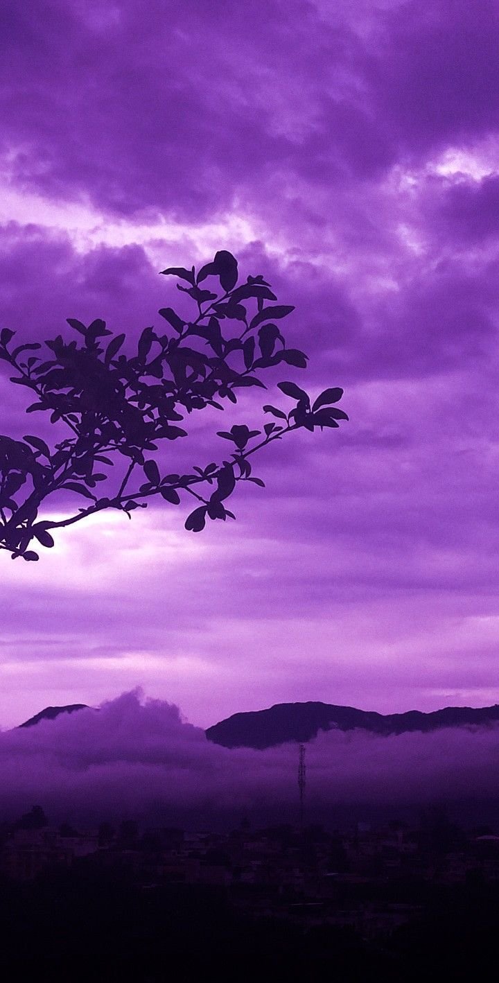 100 Purple Sky Pictures  Download Free Images on Unsplash