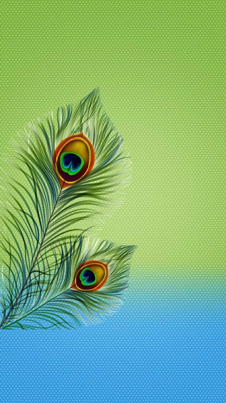 Peacock Feather Wallpaper Download | MobCup