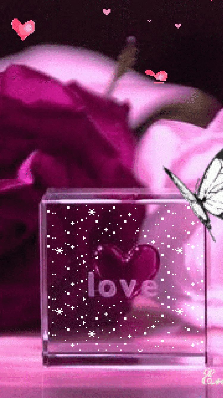 The Best Wallpapper Love Butterfly HD phone wallpaper  Pxfuel