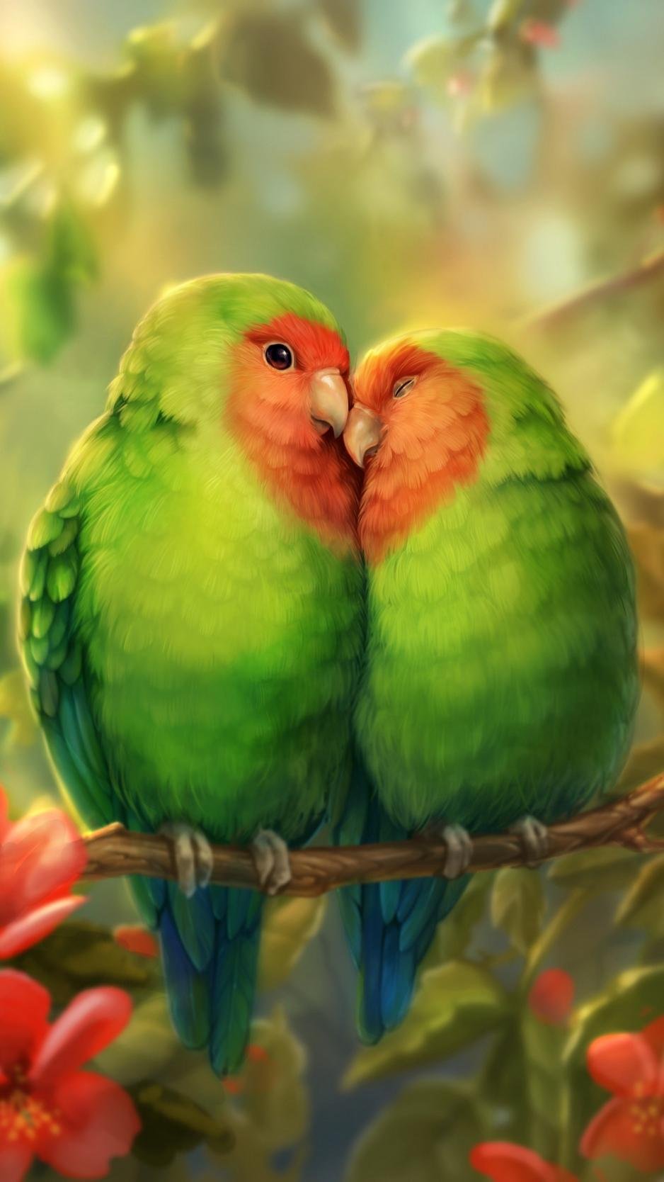 Beautifull Birds Wallpaper for Android iPhone  iPad  Odia Wallpaper