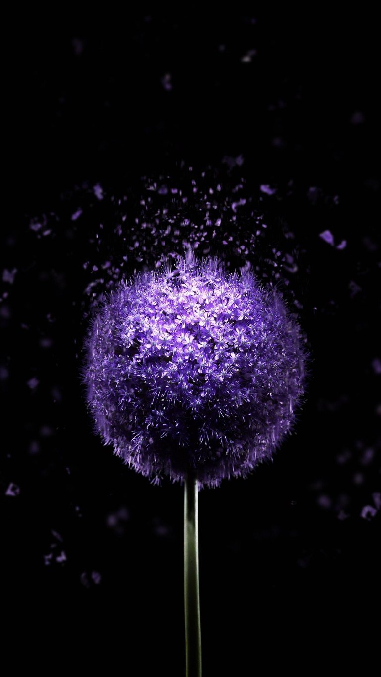 A black and purple iphone wallpaper with a black background photo
