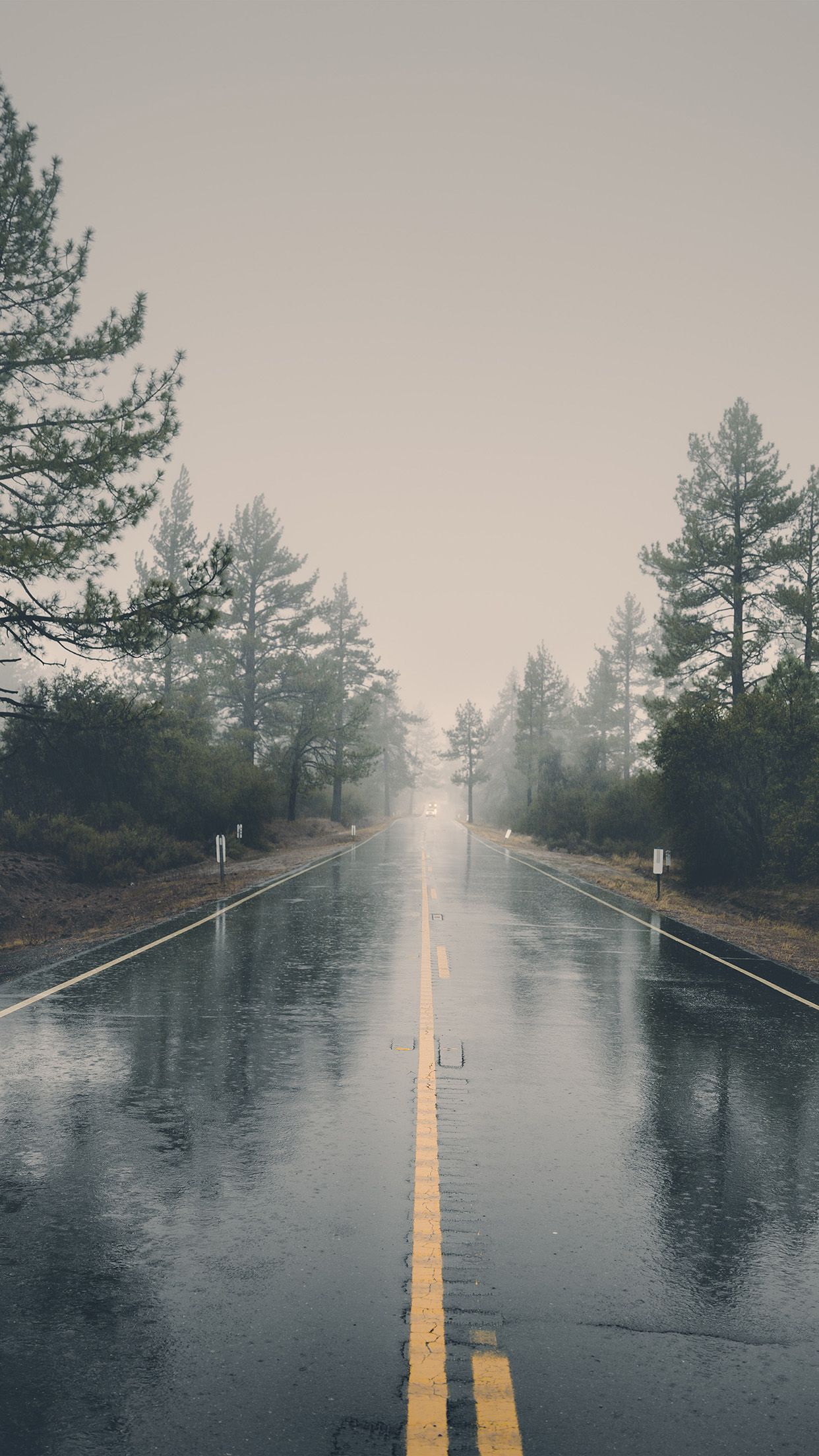 Rainy Street With Trees