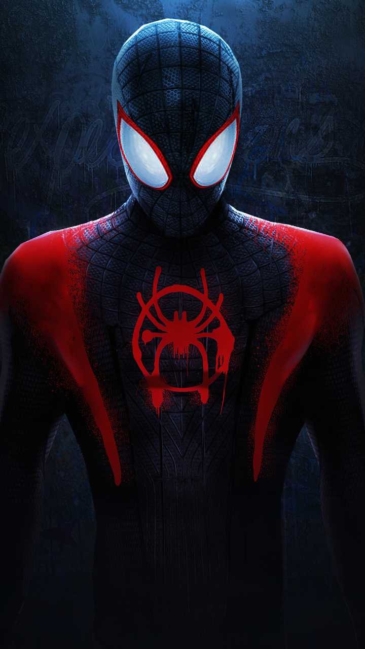 1280x2120 SpiderMan No Way Home Zendaya Tobeymaguire Andrewgarfield iPhone  6 HD 4k Wallpapers Images Backgrounds Photos and Pictures