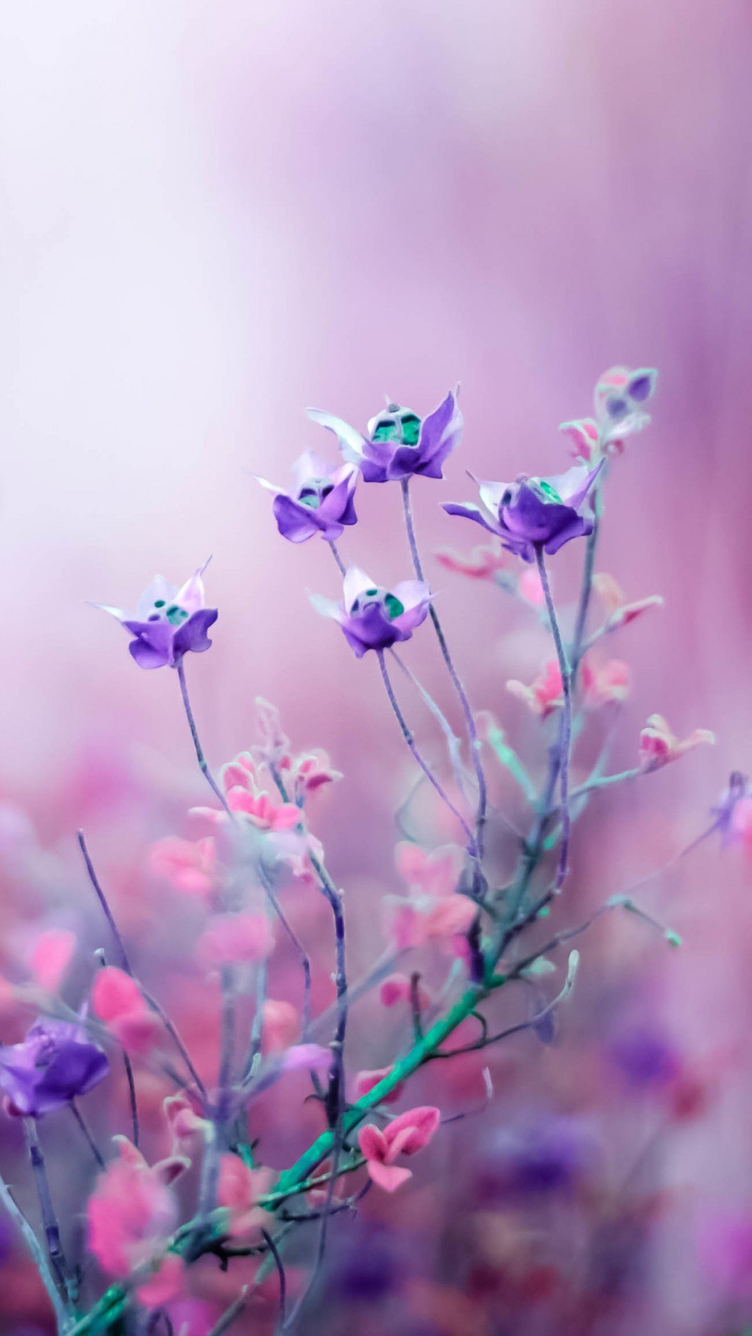 Purple spring aesthetic Wallpaper Download | MobCup