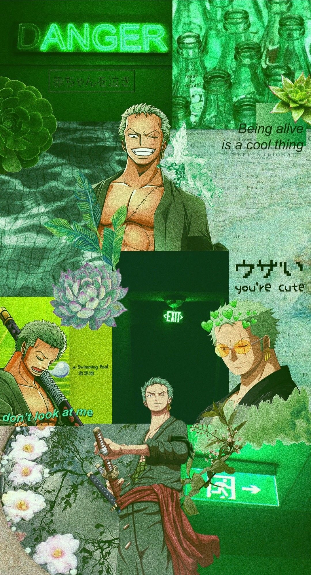 One piece aesthetic Roronoa Zoro Wallpaper Download | MobCup