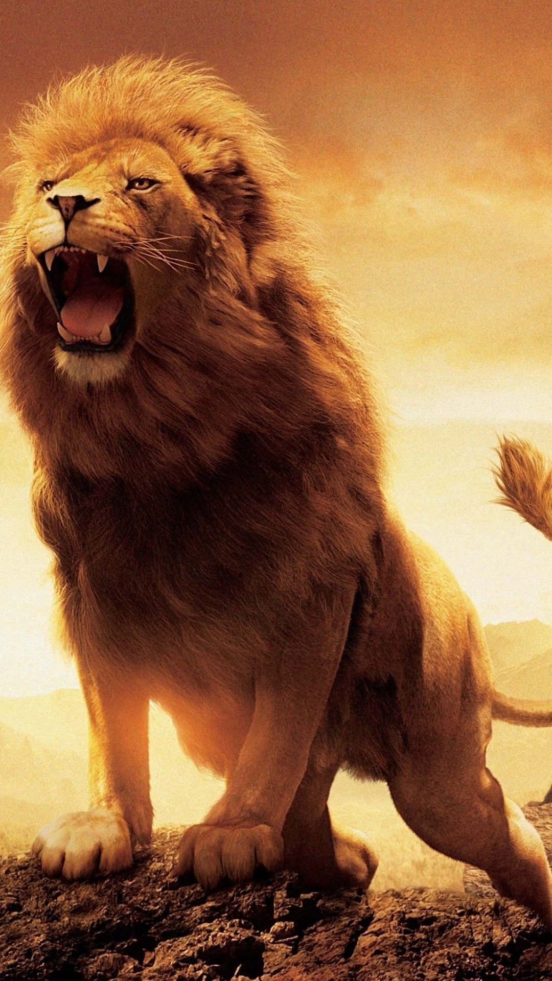 Angry Lion Gallery 551223285 Wallpaper for Free - Fine HDQ Pic