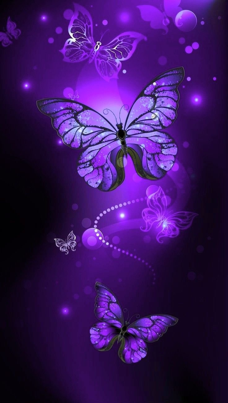 Purple butterfly aesthetic HD wallpapers  Pxfuel